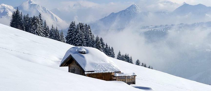 Village Club De Bois D'Amont 外观 照片